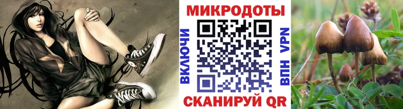 купить наркоту  Искитим  Псилоцибиновые грибы Magic Shrooms 
