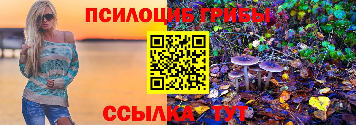 Псилоцибиновые грибы Psilocybe  Галлюциногенные грибы Cubensis  Искитим  Вход с VPN 